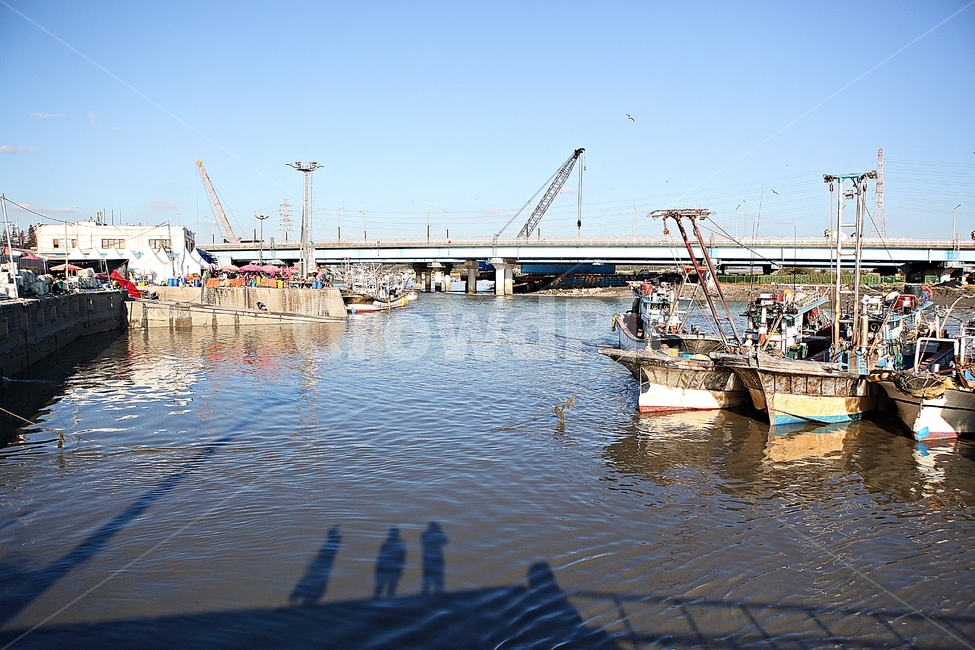 배,어선,선박,바다,고기잡이,어업,난업,파도,물,물살,풍경,자연,어업,fishery,fishing industry