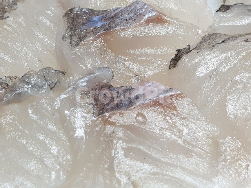 우럭,우럭회,회,생선,물고기,사시미,안주,술안주,meal,dish,seafood,시푸드,씨푸드,fish,맛있는,접시,food,음식,요리,cook