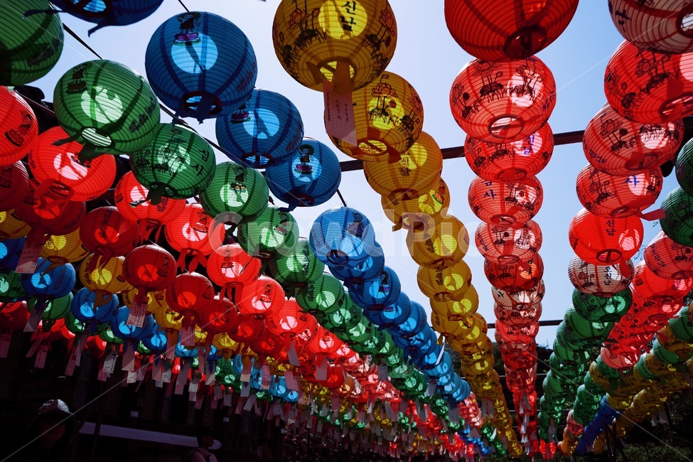 연등,풍경,부처님오신날,연등행사,불교,종교,신앙,religion,belief,faith,축제,행사,festival,carnival,event