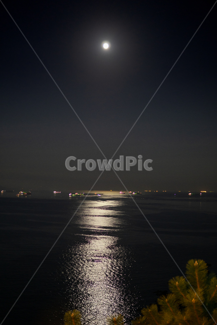 보름달,밤바다,여수밤바다,소나무,바다,달빛,fullmoon,야경,파도,outdoors,자연,nature,moon,night,밤