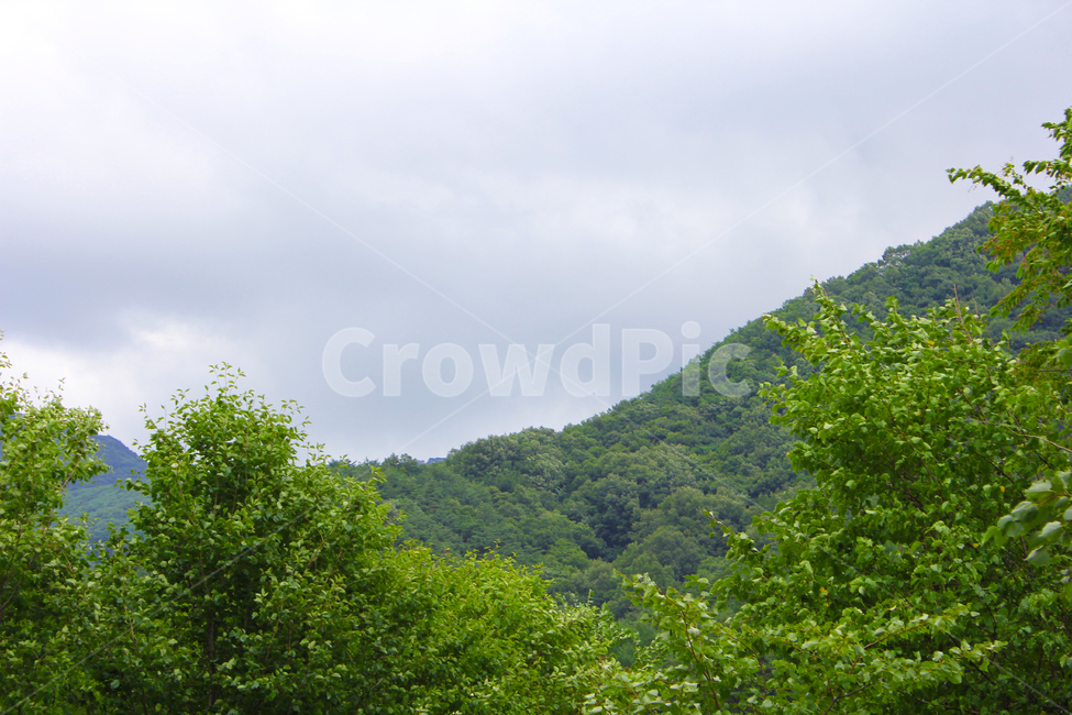 하늘,구름,산,나무,자연,초록,잎,잎사귀,나뭇잎,자연,풍경,nature,landscape,outdoors,옥외