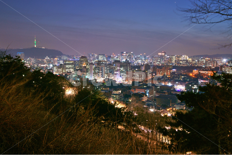 낙산공원,한양도성,야경,성곽길,도심야경,성벽,종로구