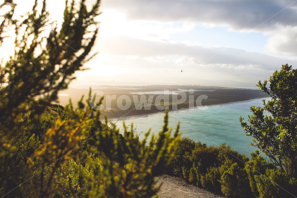 뉴질랜드,휴식,자연,여유,빛,산,newzealand,natural,숲,forest,light,자연,풍경,nature,landscape