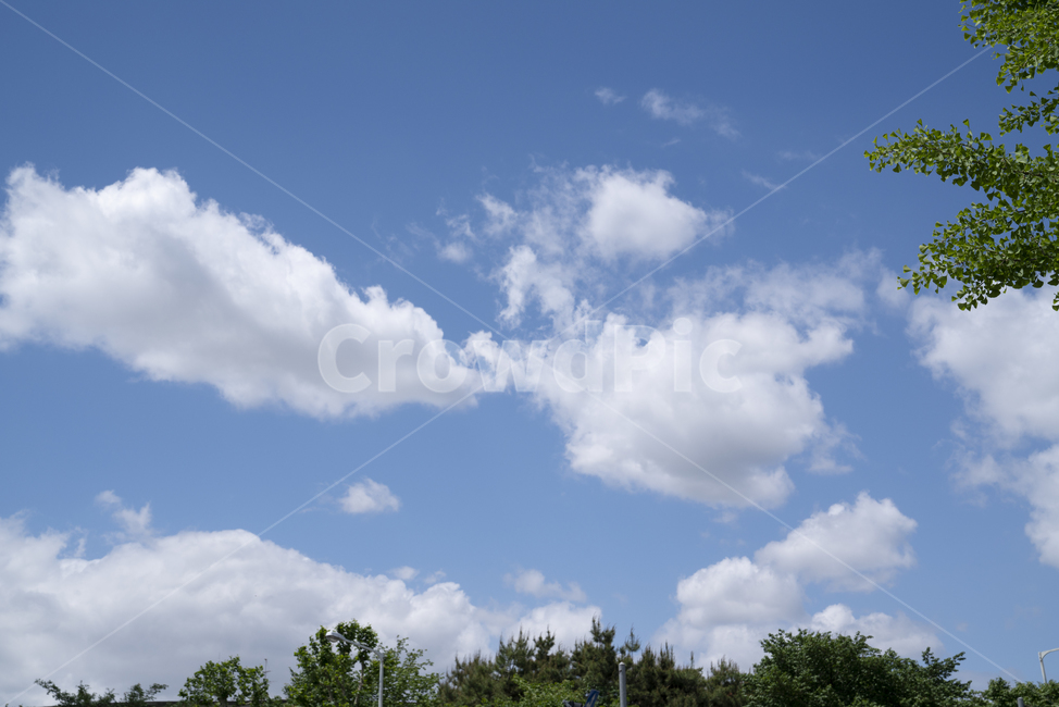 nature,자연,outdoors,옥외,푸른하늘,sky,하늘,azuresky,cumulus,적운,적란운,뭉게구름