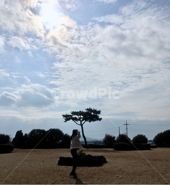 풍경,제주도,구름,하늘,전신