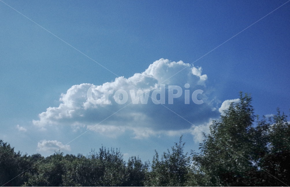 숲,나무,자연,구름,하늘,풍경,자연,풍경,nature,landscape,감성,sensible,feeling,outdoors,옥외,weather,날씨,sky,cloud,cumulus,적운