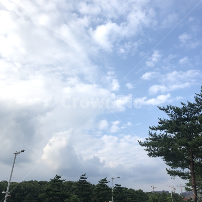 하늘,여름,푸른,구름,자연