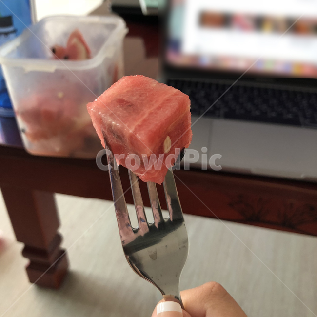 수박,간식,과일,음식,여름,계곡,음식,식재료,요리,food,cook,meal,dishes,food reserves,과일,열매,fruit