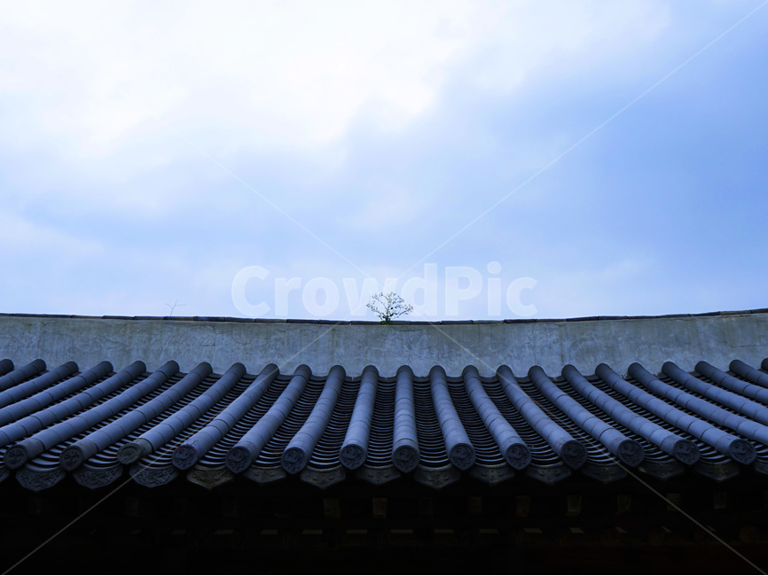 한옥,지붕,전통,처마,생명,한국전통,한국문화,korean traditional,korean culture,건축물,건물외관,exterior,building,structure,architecture,construction