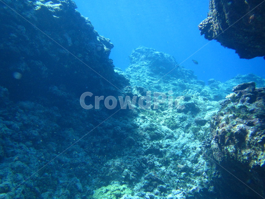 Lau Lau Beach,diving,ocean,Saipan,In the sea
