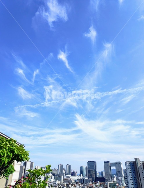 자연,옥외,nature,구름,sky,하늘