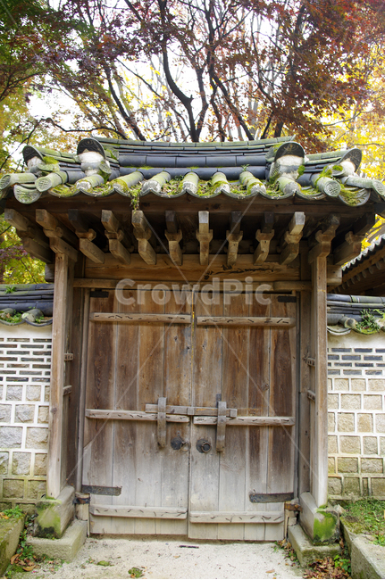 건축,전통건축,traditional,전통,가을,fall,나무,식물,plant,단풍,가을,계절,fall,autumn,season,한국전통,한국문화,korean traditional,korean culture,건축물,건물외관,exterior,building,structure,architecture,construction