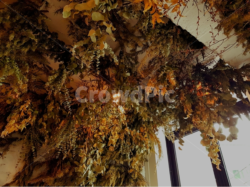 감성사진,인테리어,실내인테리어,드라이플라워,dryflower,interior,sensitivity,인테리어,실내디자인,interior design