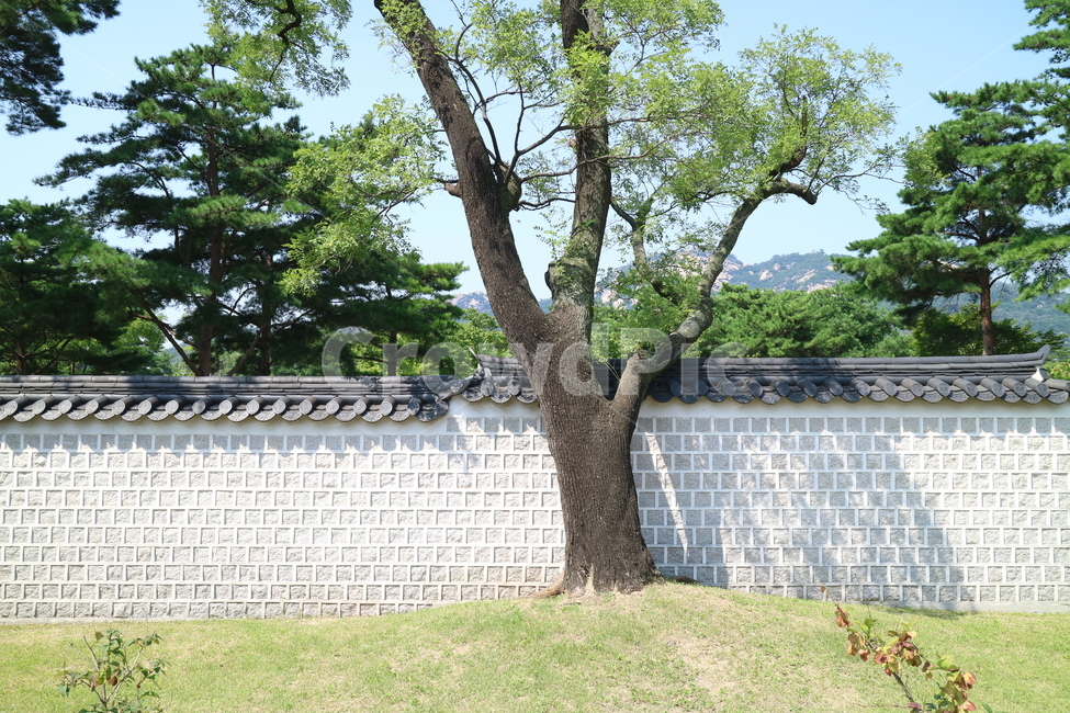 고궁,궁전,한국전통,한국,건축,건물,동양건축,전통가옥,한옥,문화재,담,담장,전통,민속,한국의고궁,벽,한국전통,한국문화,korean traditional,korean culture,건축물,건물외관,exterior,building,structure,architecture,construction
