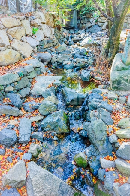 부산,가야공원,계곡,물,돌,초록,풀,식물,자연,산,등산,자연,풍경,nature,landscape,rubble,파편