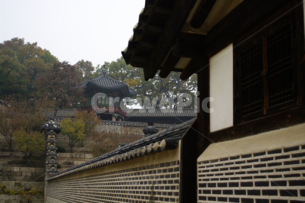 상량정,창덕궁,낙선재,고궁,건축,전통건축,traditional,전통,기와지붕,담장,한국전통,한국문화,korean traditional,korean culture,랜드마크,landmark,tourist attraction,한국랜드마크,한국관광지,한국명소,korea landmark,korea tourist attraction