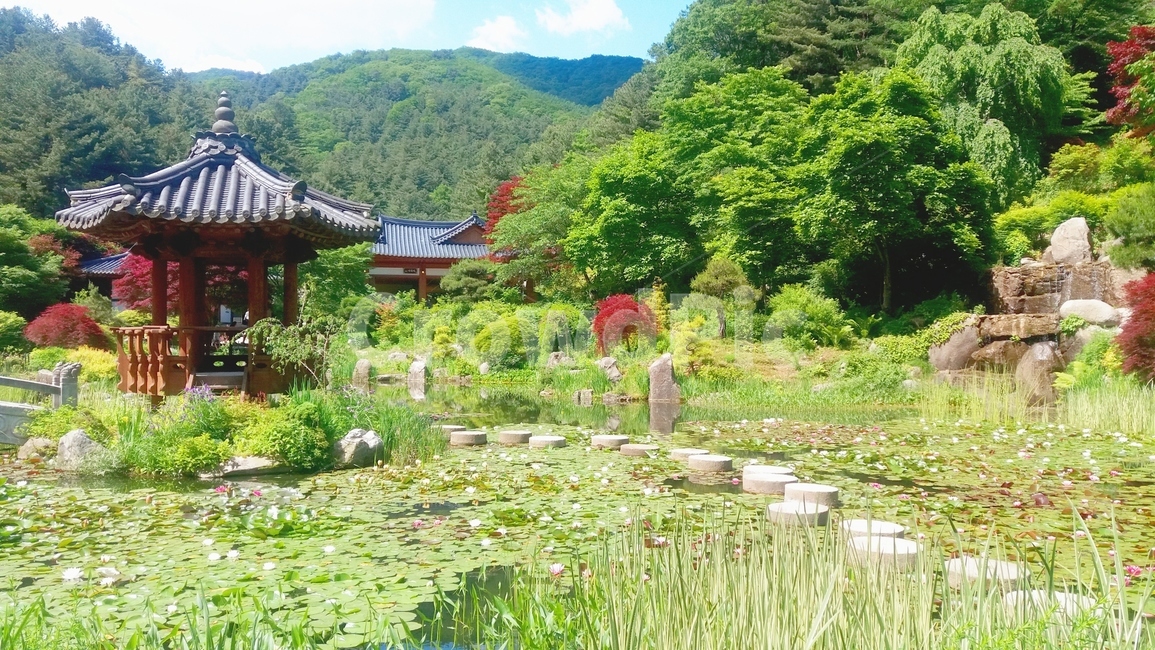 풍경,한국,여름,연못,정자