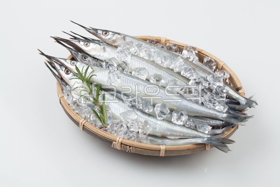 생선,양미리,물고기,정어리,꽁치,과메기,음식,식재료,요리,cook,meal,dishes,food,reserves,수산물,해산물,fishery,products,seafood,음식,식재료,요리,food,cook,meal,dishes,food reserves,수산물,해산물,fishery products,seafood