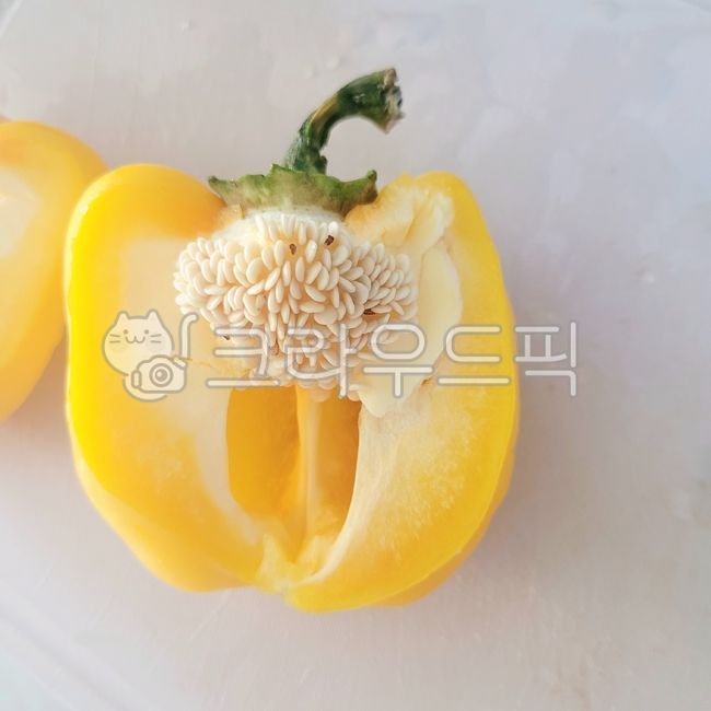 야채,채소,파프리카,노랑,yellow,paprika,vegetable,채식