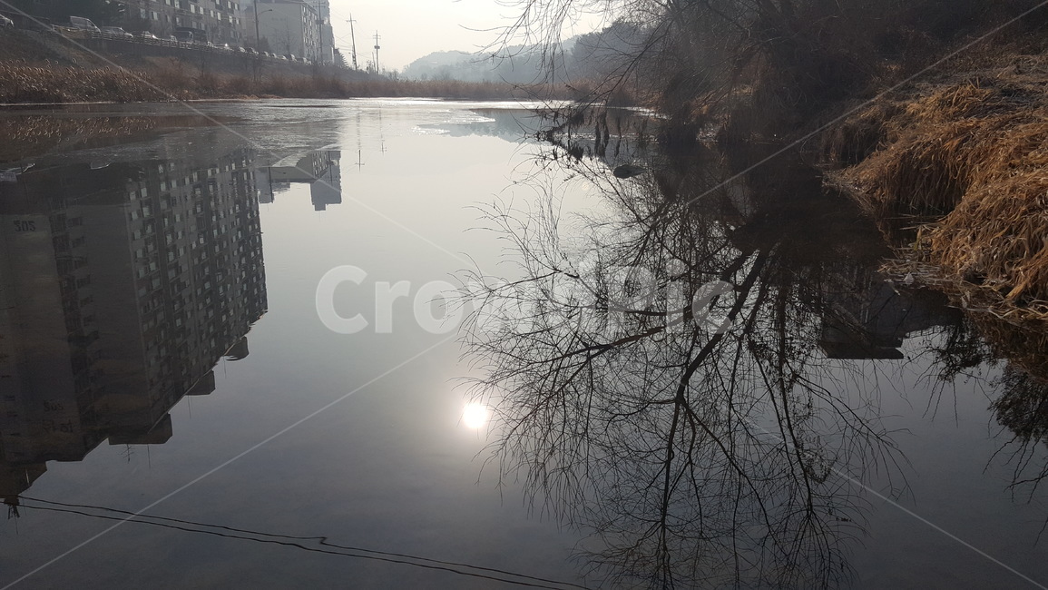 수면,반사,강,태양,물에비친,풍경,자연,자연,풍경,nature,landscape,water,물,outdoors,옥외
