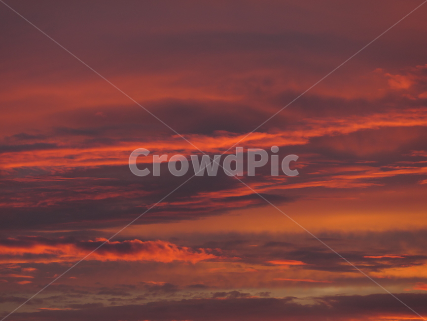노을,하늘,풍경,sky,sunset,주황빛,붉은빛,노란빛,빗물,반사,자연,구름,핑크빛,plant,자연,풍경,nature,landscape,outdoors,옥외,일몰,red sky,붉은 하늘,dusk,황혼,dawn,새벽