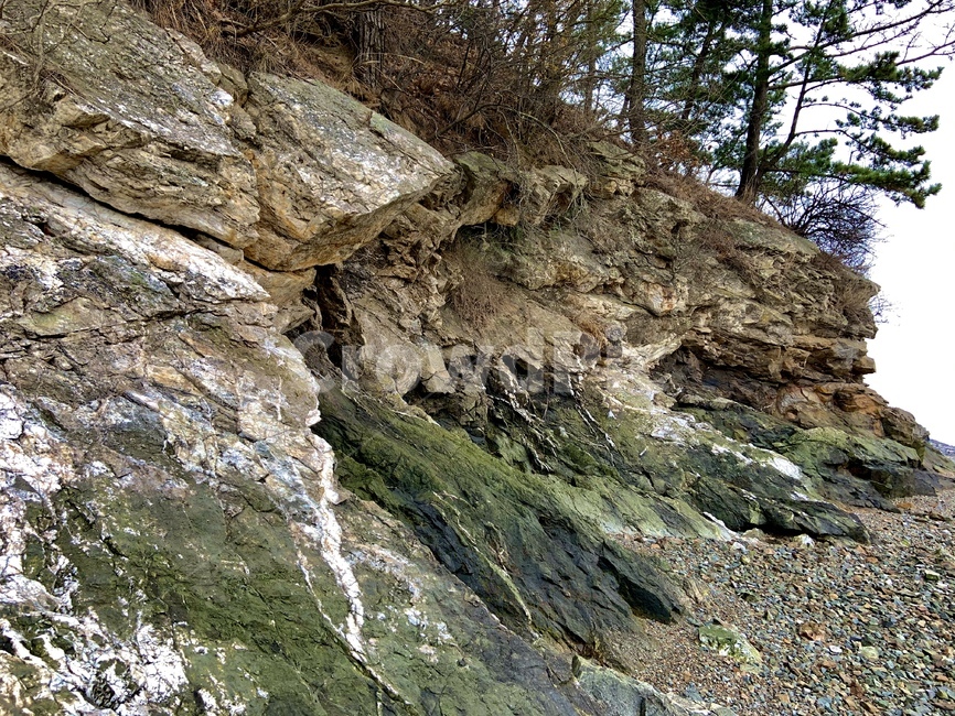 낭떠러지,cliff,nature,자연,식물