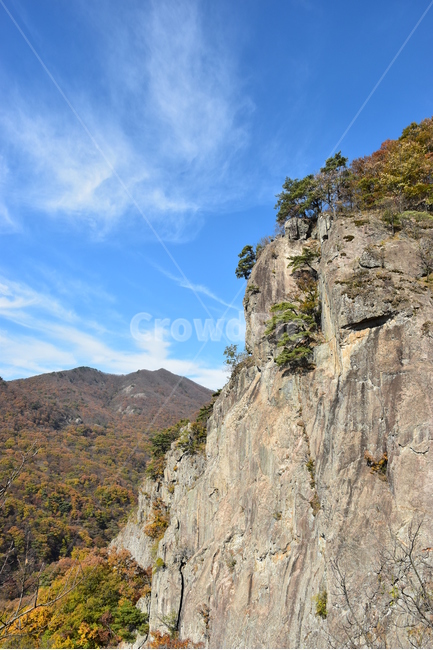 자연,풍경,단풍,계절,가을,잎,붉은,노란,낙엽,나무,백암산,fall,autumn,season,nature,landscape,한국자연풍경,한국자연경관,korea,tree,maple,leaf,가을,계절,fall,autumn,season,자연,풍경,nature,landscape,outdoors,옥외,cliff,낭떠러지