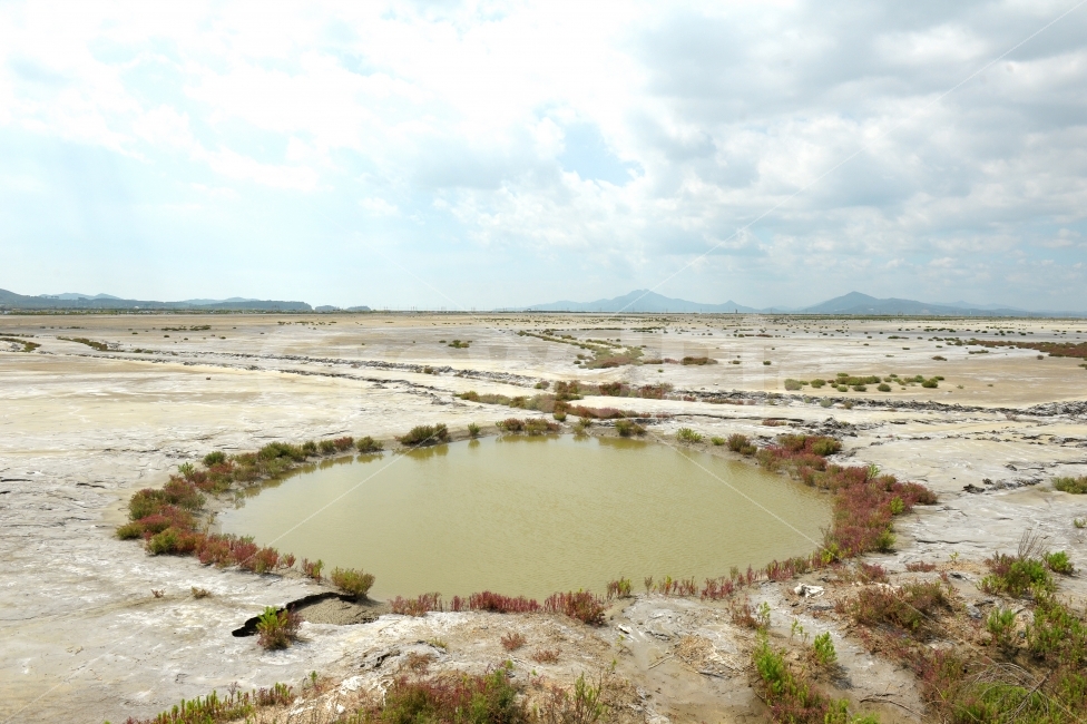 인천,오아시스,사막,저수지,가믐,자연,풍경,nature,landscape