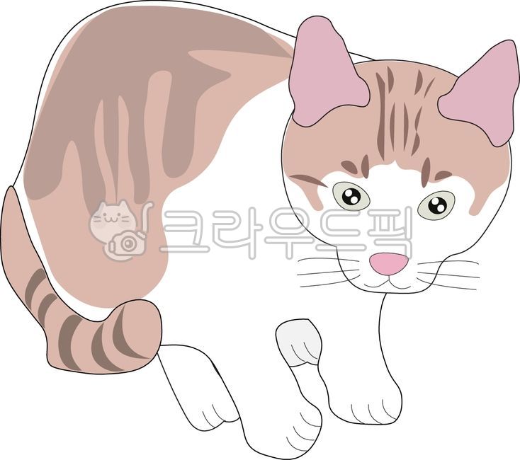 고양이,코리안쇼츠,반려동물,동물,앉아있는