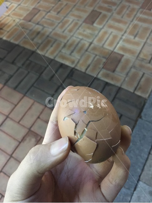 웃긴,달걀,egg,funny,깨진