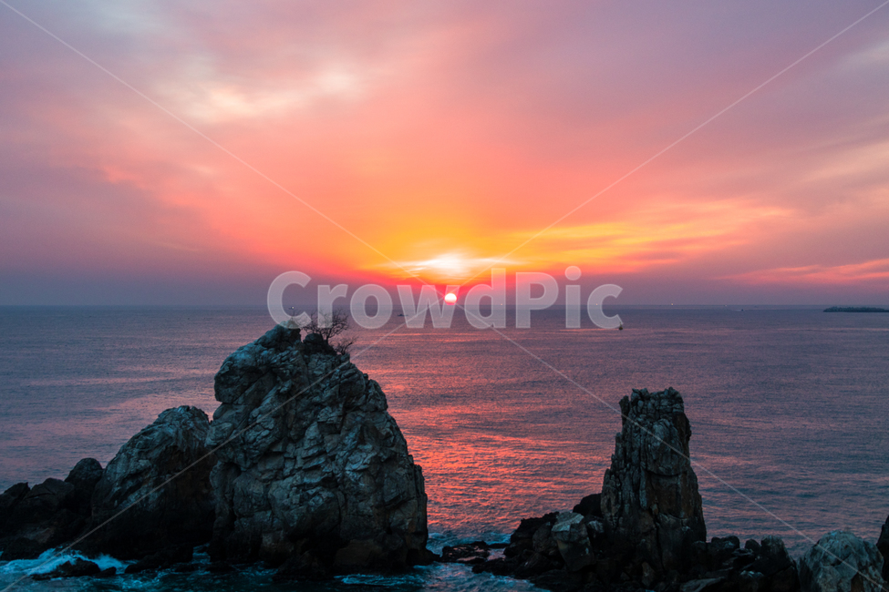 일출,추암해변,해,바다,풍경,여명,추암바위,자연,풍경,nature,landscape,outdoors,옥외,promontory,곶