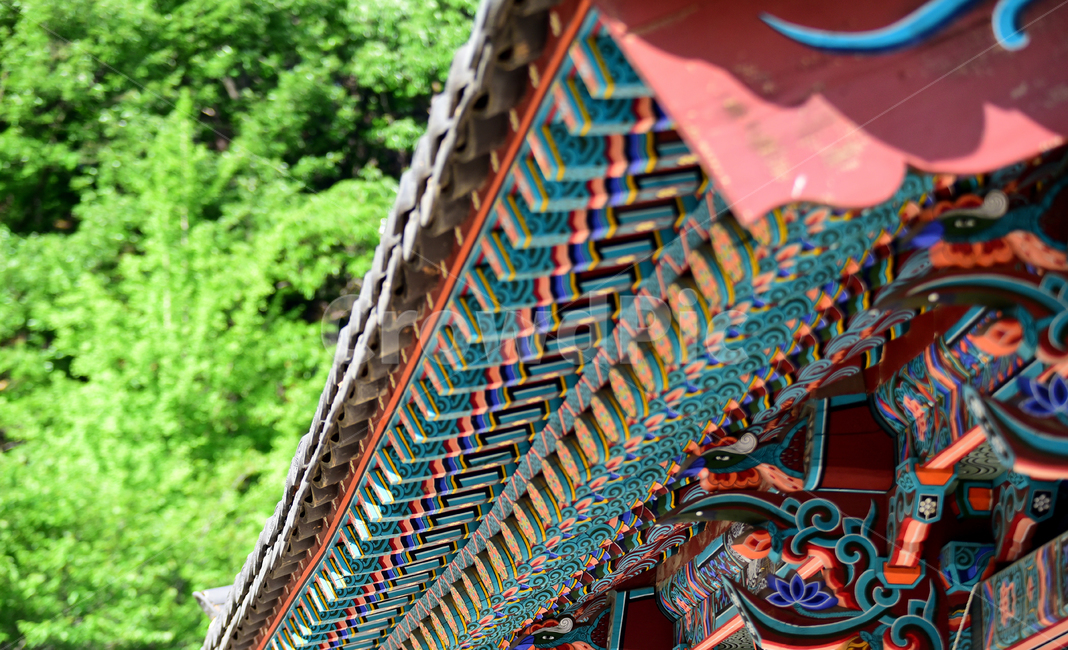 절,처마,지붕,패턴,다채로운,사찰,temple,pattern,roof