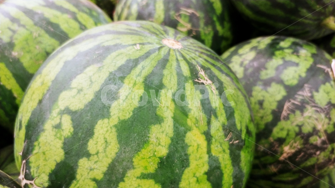 수박,여름,과일,대형마트,마트장보기,여름,계절,summer,season,음식,식재료,요리,food,cook,meal,dishes,food reserves,과일,열매,fruit,채소,야채,vegetables,plant,식물