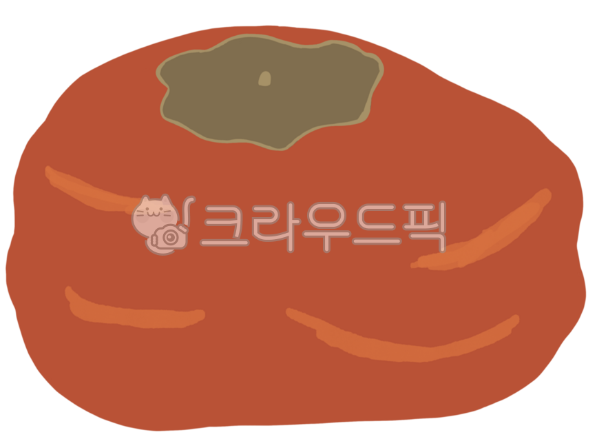 곶감,감,과일,말린과일,건시