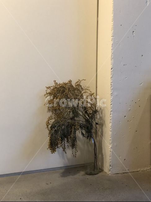 카페,인테리어,레스토랑,화병,화분,꽃,조화,감성,은은한,조명