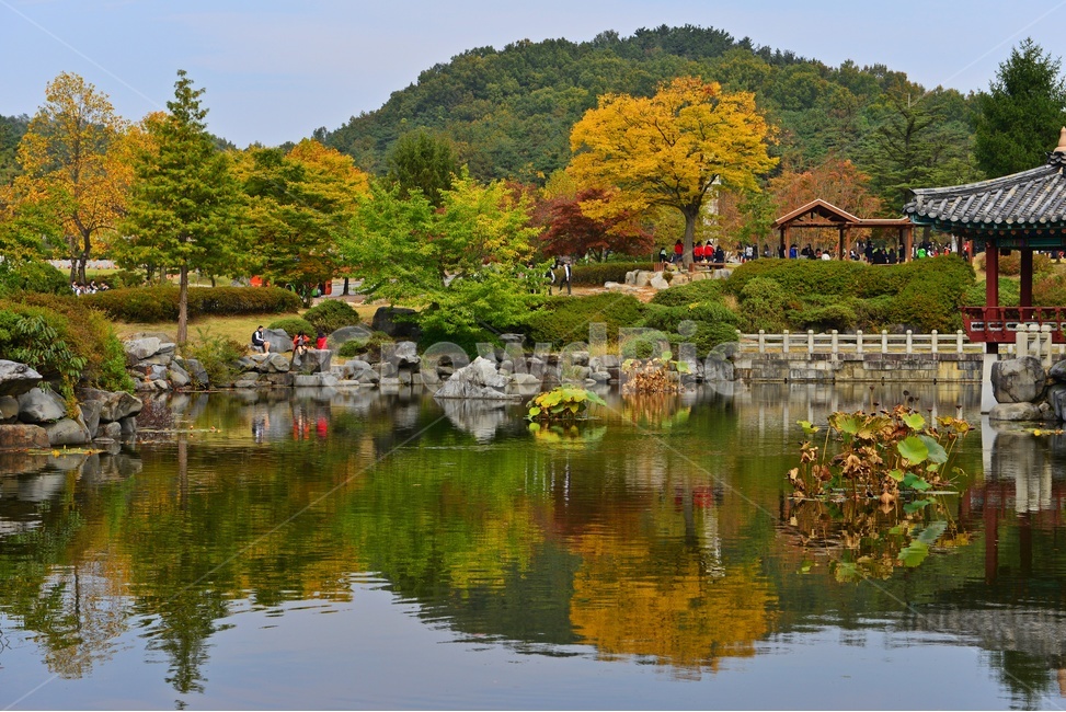 대전,국립대전현충원,현충원,현충지,연못,nature,자연,outdoors,옥외,leaf,잎,plant,식물,person,사람,human,인간,tree,나무,소풍,가을,계절,추색,추경,경치,경관,풍경,water,물,정자,현충지반영
