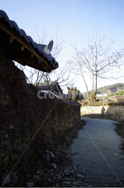 마을,돌담,길,돌담장,돌담길,담쟁이넝쿨,한국전통,한국문화,korean traditional,korean culture,건축물,건물외관,exterior,building,structure,architecture,construction