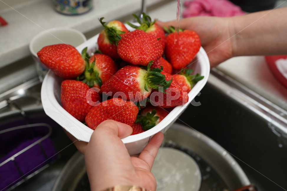 딸기,과일,디저트,먹거리,비타민,빨강,레드,red,색감,음식,strawberry,fruit