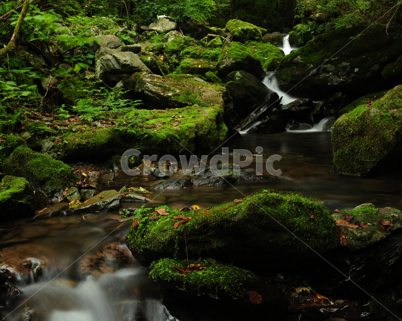 water,물,nature,자연,river,강,옥외,outdoors,산,등산,자연,풍경,nature,landscape,plant,식물,moss,이끼