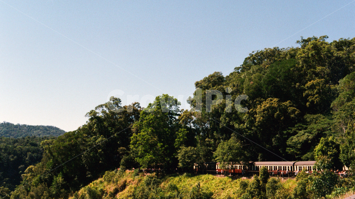 nature,outdoor,train,기차,식물,tree,나무,plant,숲,forest,빈티지,vintage,감성,시골,풍경,자연