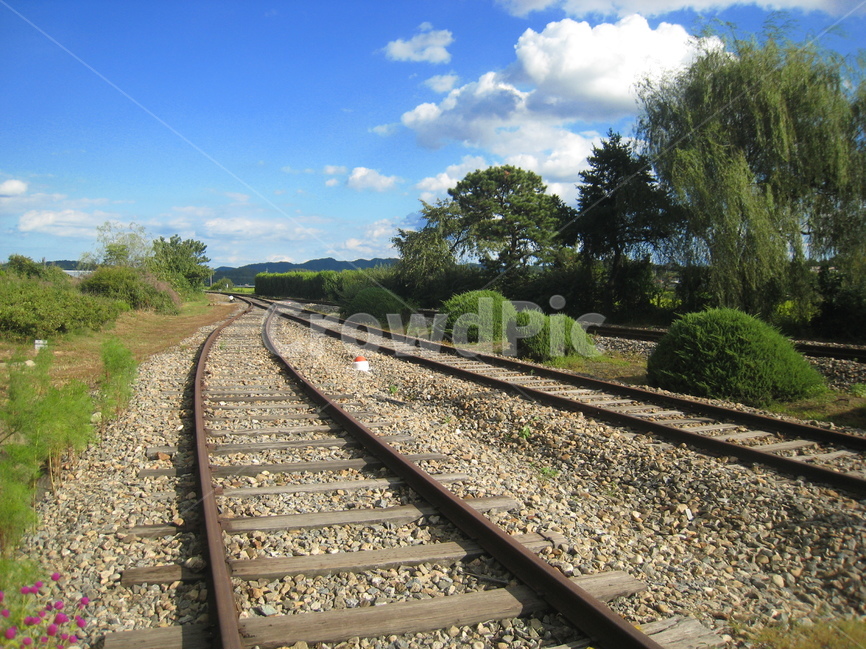 시골,기찻길,나무,하늘,구름,countryside,railroad,tree,sky,cloud,rural,blue,green,railroadtrack,풍경,scenery,landscape,교통,교통수단,traffic,transportation