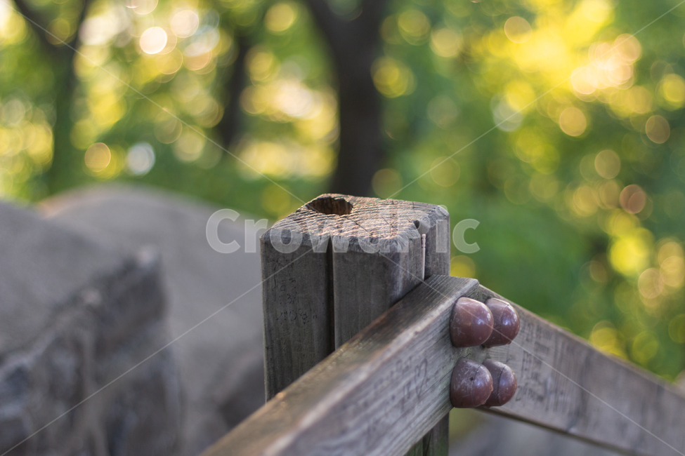나무,자연,난간,남산,wood