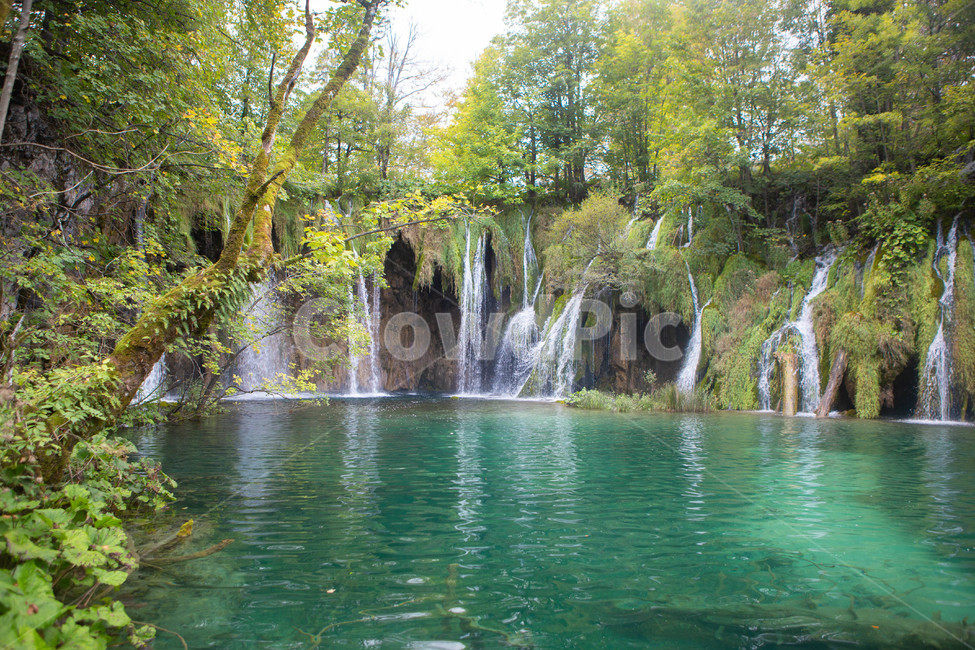 light,폭포,waterfall,폭포수,크로아티아,호수,lake,세계자연경관,flare,플레어,숲,자연,경관,경치,배경,풍경,흙,땅,빛,햇빛,긍정,평온,평화,밝은,sunny,weather,forest,leaf,tree,삼림지,woodland,outdoors,옥외,sunlight,grove,작은숲,나무,나라,land,초목,vegetation,식물,plant,에메랄드,자연,풍경,nature,landscape,해외,외국,세계,foreign,oversea,world,세계자연풍경,해외자연풍경,외국자연풍경,world nature landscape