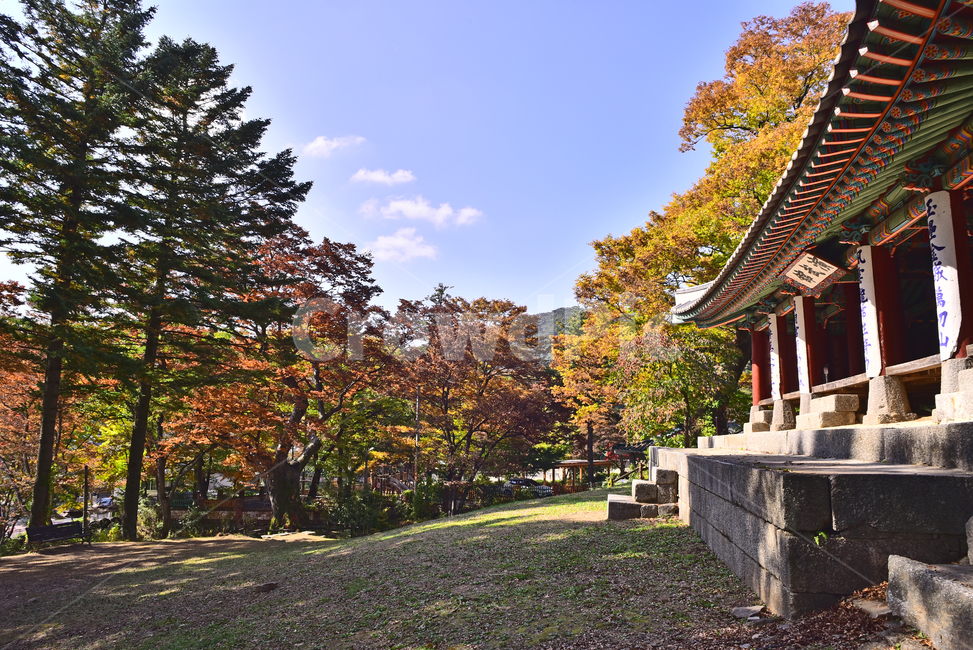 남한산성,한국전통,세계문화유산,유네스코,가을,koreatraditional,유형문화재,문화유적지,역사,히스토리,history,unesco,기와지붕,한국자연경관,가을배경,단풍나무,단풍숲,forest,가을풍경,fall,season,시즌,계절,가을분위기,가을서정,야외,옥외,아웃도어,outdoor,autumn,건축물,식물,building,plant,architecture,건물,돌계단,고목,가을,계절,fall,autumn,season,한국전통,한국문화,korean traditional,korean culture,건축물,건물외관,exterior,building,structure,architecture,construction,tree,나무