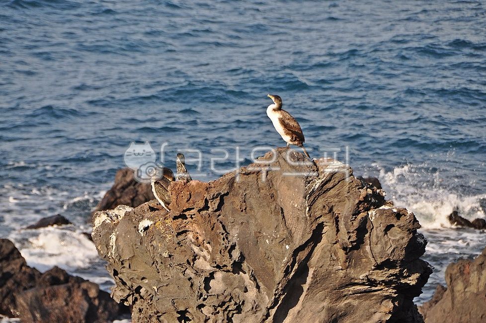 relaxed,wait,ocean,thought,stand alone