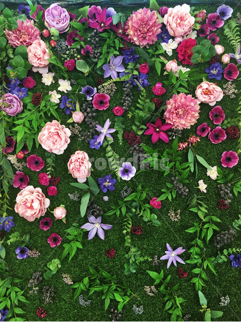 꽃,식물,인테리어,소품,다채로움,아름다움,조화로움