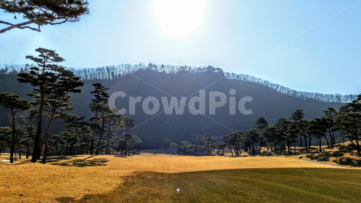 outdoors,field,들,역광,골프장
