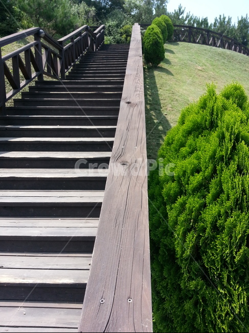 계단,공원,나무,자연,산책,자연,풍경,nature,landscape,handrail,난간,banister,staircase