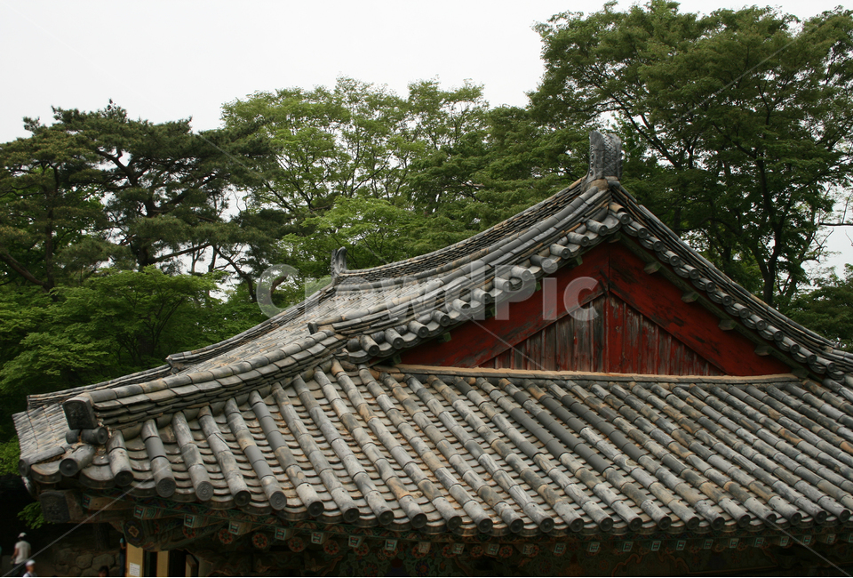 한국,경주,절,기와,지붕,기와지붕,사찰,한국전통,한국문화,korean traditional,korean culture,건축물,건물외관,exterior,building,structure,architecture,construction