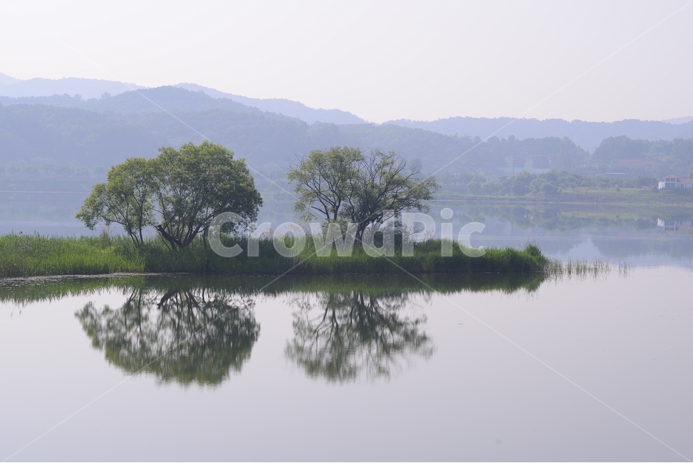 반영,물,강물,나무,자연,풍경,물의정원,reflex,초록,green,자연,풍경,nature,landscape,한국자연풍경,한국자연경관,korea nature landscape,water,land,땅,outdoors,옥외